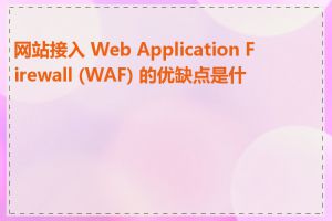 网站接入 Web Application Firewall (WAF) 的优缺点是什么