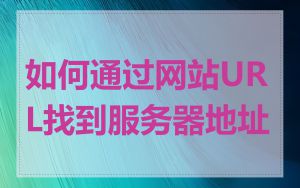 如何通过网站URL找到服务器地址
