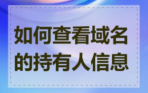 如何查看域名的持有人信息