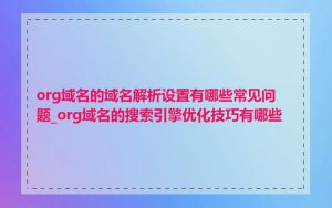 org域名的域名解析设置有哪些常见问题_org域名的搜索引擎优化技巧有哪些