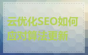 云优化SEO如何应对算法更新