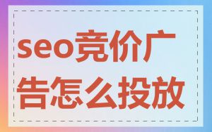 seo竞价广告怎么投放