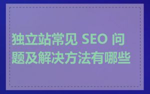 独立站常见 SEO 问题及解决方法有哪些