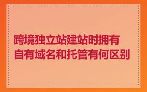 跨境独立站建站时拥有自有域名和托管有何区别
