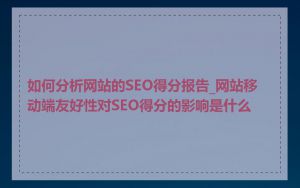 如何分析网站的SEO得分报告_网站移动端友好性对SEO得分的影响是什么