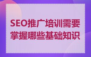 SEO推广培训需要掌握哪些基础知识