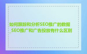 如何跟踪和分析SEO推广的数据_SEO推广和广告投放有什么区别