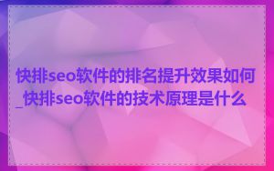 快排seo软件的排名提升效果如何_快排seo软件的技术原理是什么