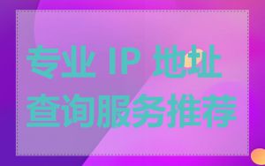 专业 IP 地址查询服务推荐