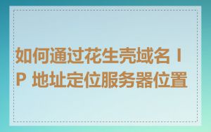 如何通过花生壳域名 IP 地址定位服务器位置