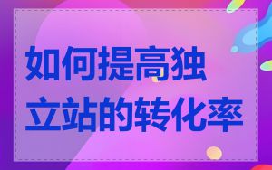 如何提高独立站的转化率