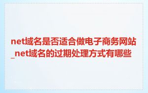 net域名是否适合做电子商务网站_net域名的过期处理方式有哪些