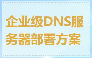 企业级DNS服务器部署方案