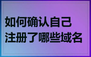 如何确认自己注册了哪些域名
