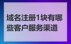 域名注册1块有哪些客户服务渠道