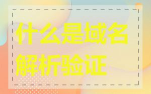 什么是域名解析验证