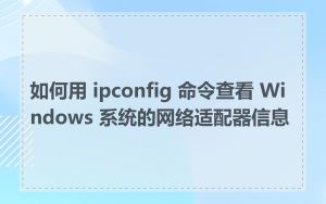 如何用 ipconfig 命令查看 Windows 系统的网络适配器信息