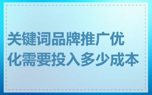 关键词品牌推广优化需要投入多少成本