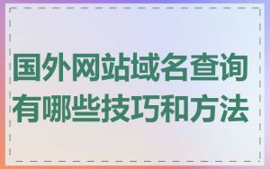 国外网站域名查询有哪些技巧和方法