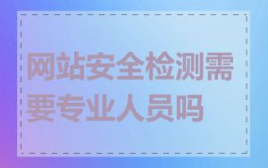 网站安全检测需要专业人员吗