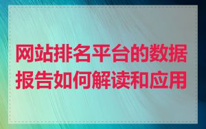 网站排名平台的数据报告如何解读和应用