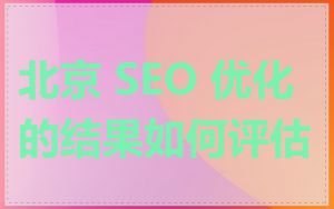 北京 SEO 优化的结果如何评估