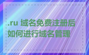 .ru 域名免费注册后如何进行域名管理