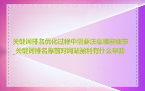 关键词排名优化过程中需要注意哪些细节_关键词排名靠前对网站盈利有什么帮助