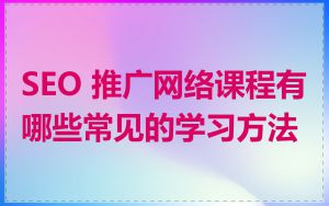 SEO 推广网络课程有哪些常见的学习方法