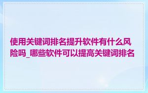 使用关键词排名提升软件有什么风险吗_哪些软件可以提高关键词排名