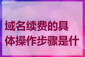 域名续费的具体操作步骤是什么
