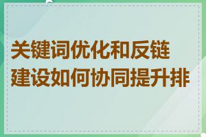 关键词优化和反链建设如何协同提升排名
