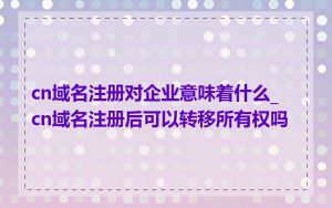 cn域名注册对企业意味着什么_cn域名注册后可以转移所有权吗