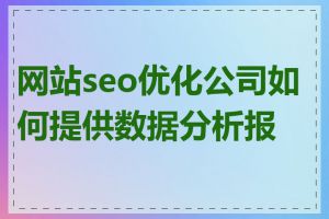网站seo优化公司如何提供数据分析报告