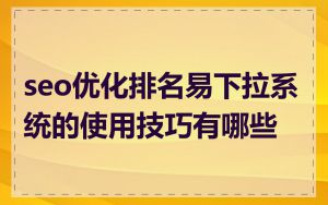 seo优化排名易下拉系统的使用技巧有哪些