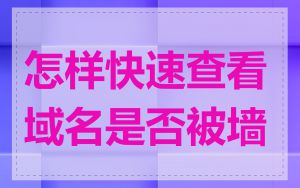 怎样快速查看域名是否被墙