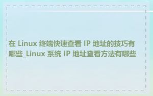 在 Linux 终端快速查看 IP 地址的技巧有哪些_Linux 系统 IP 地址查看方法有哪些