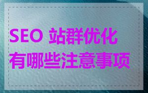 SEO 站群优化有哪些注意事项