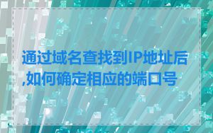通过域名查找到IP地址后,如何确定相应的端口号
