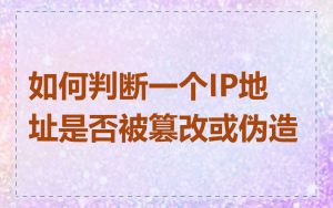 如何判断一个IP地址是否被篡改或伪造