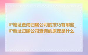 IP地址查询归属公司的技巧有哪些_IP地址归属公司查询的原理是什么