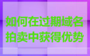 如何在过期域名拍卖中获得优势