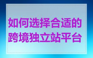 如何选择合适的跨境独立站平台