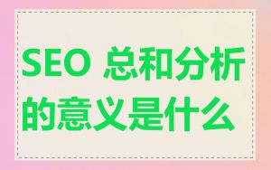 SEO 总和分析的意义是什么