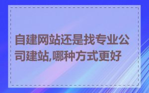 自建网站还是找专业公司建站,哪种方式更好