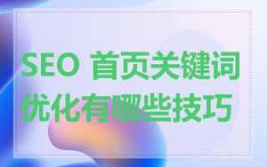 SEO 首页关键词优化有哪些技巧