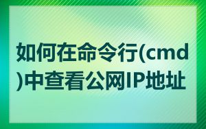 如何在命令行(cmd)中查看公网IP地址