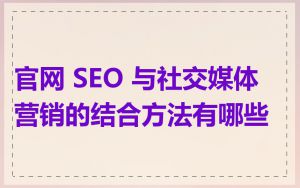 官网 SEO 与社交媒体营销的结合方法有哪些