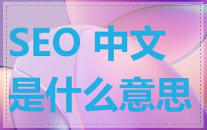 SEO 中文是什么意思