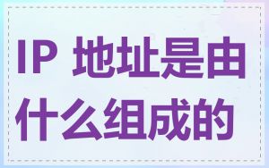 IP 地址是由什么组成的